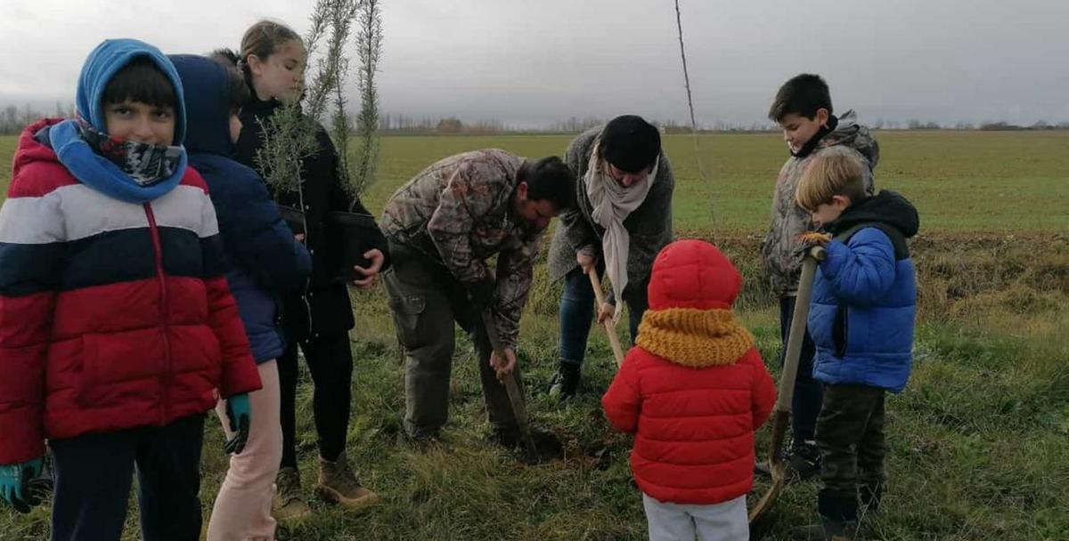 Niños y mayores colaboran en las labores de siembra de los plantones. | Cedida