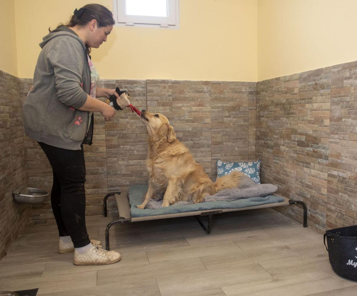 Lucía Bautista, gerente de O Lar do Can, con uno de los perros alojados en el hotel canino de Oleiros, en una de las habitaciones. | Casteleiro/Roller Agencia