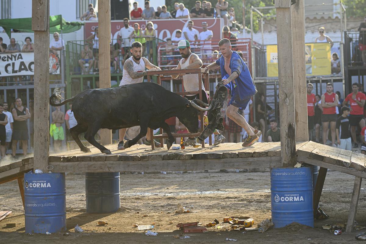 Algunos de los mejores momentos que ha ofrecido el ganado de Fernando Machancoses en les Penyes de la Vall