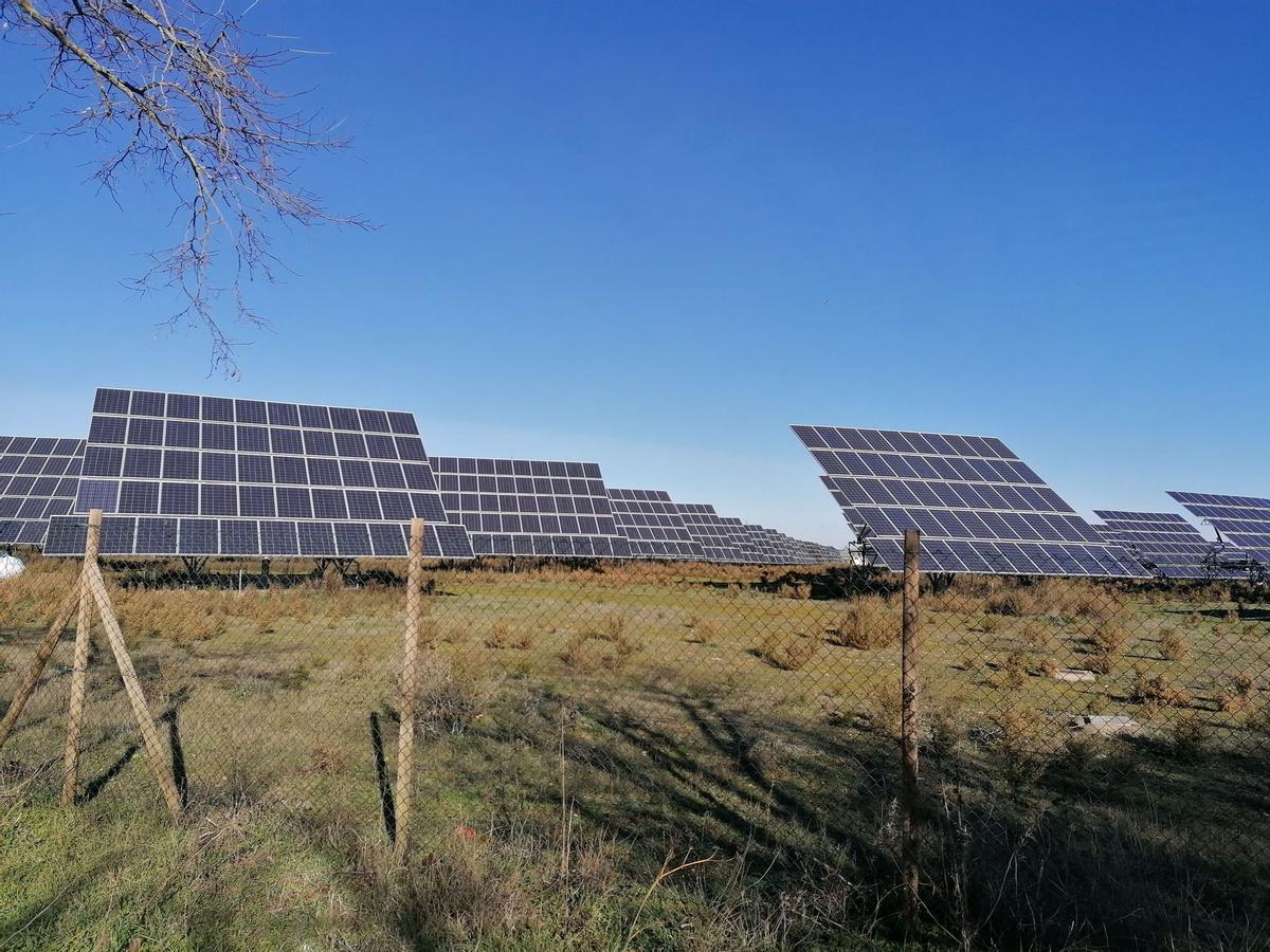 Paneles solares de una planta fotovoltaica instalada en el municipio de Toro.