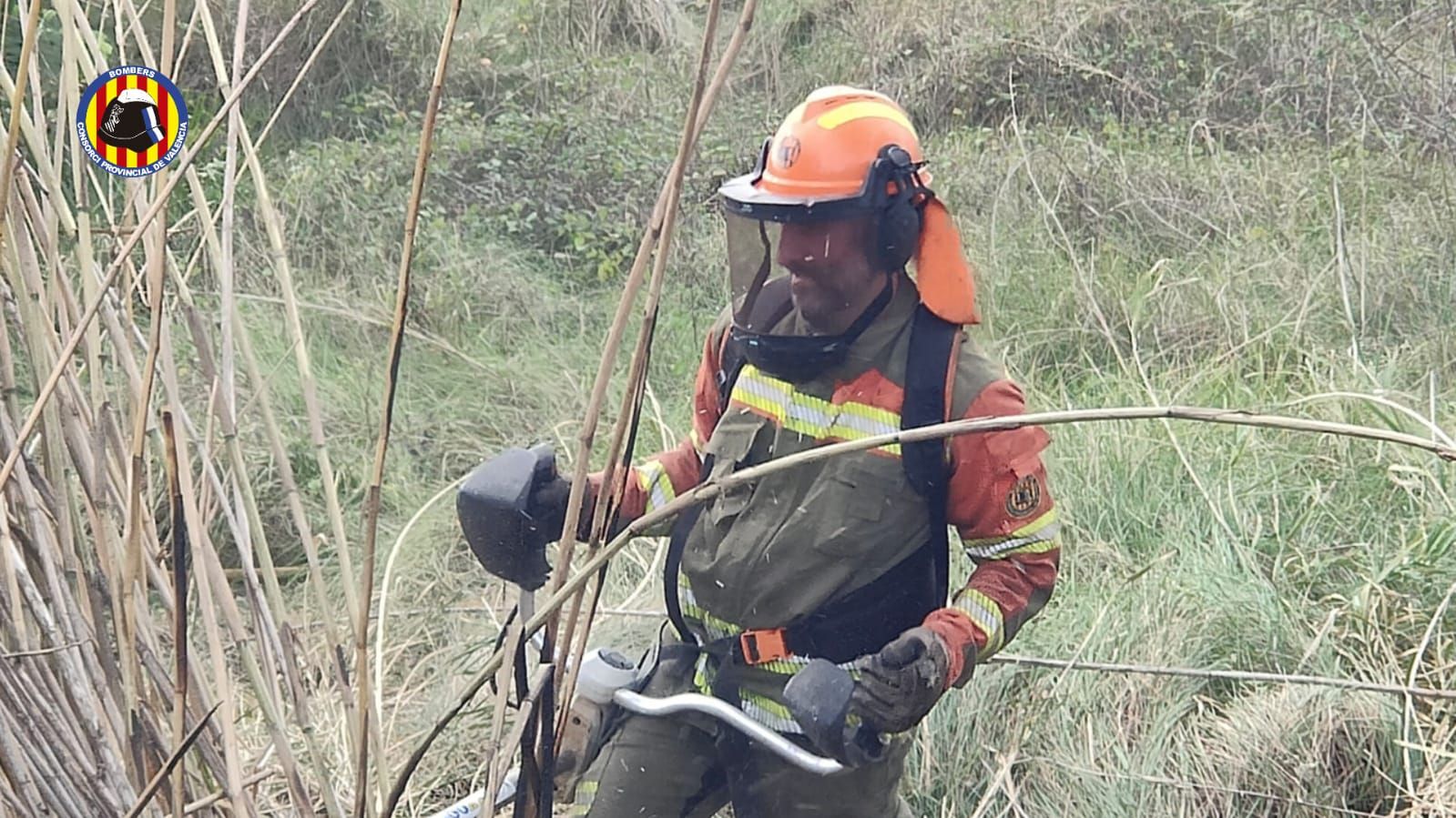 Trabajos de extinción del incendio forestal de Alzira.