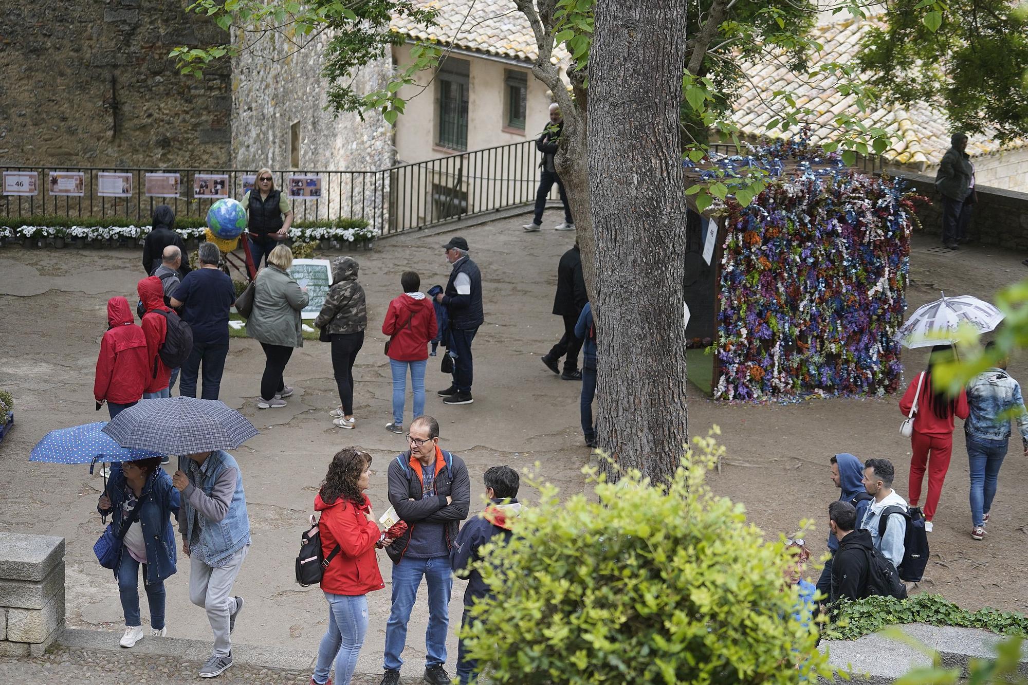 L'últim dia de Temps de Flors en imatges