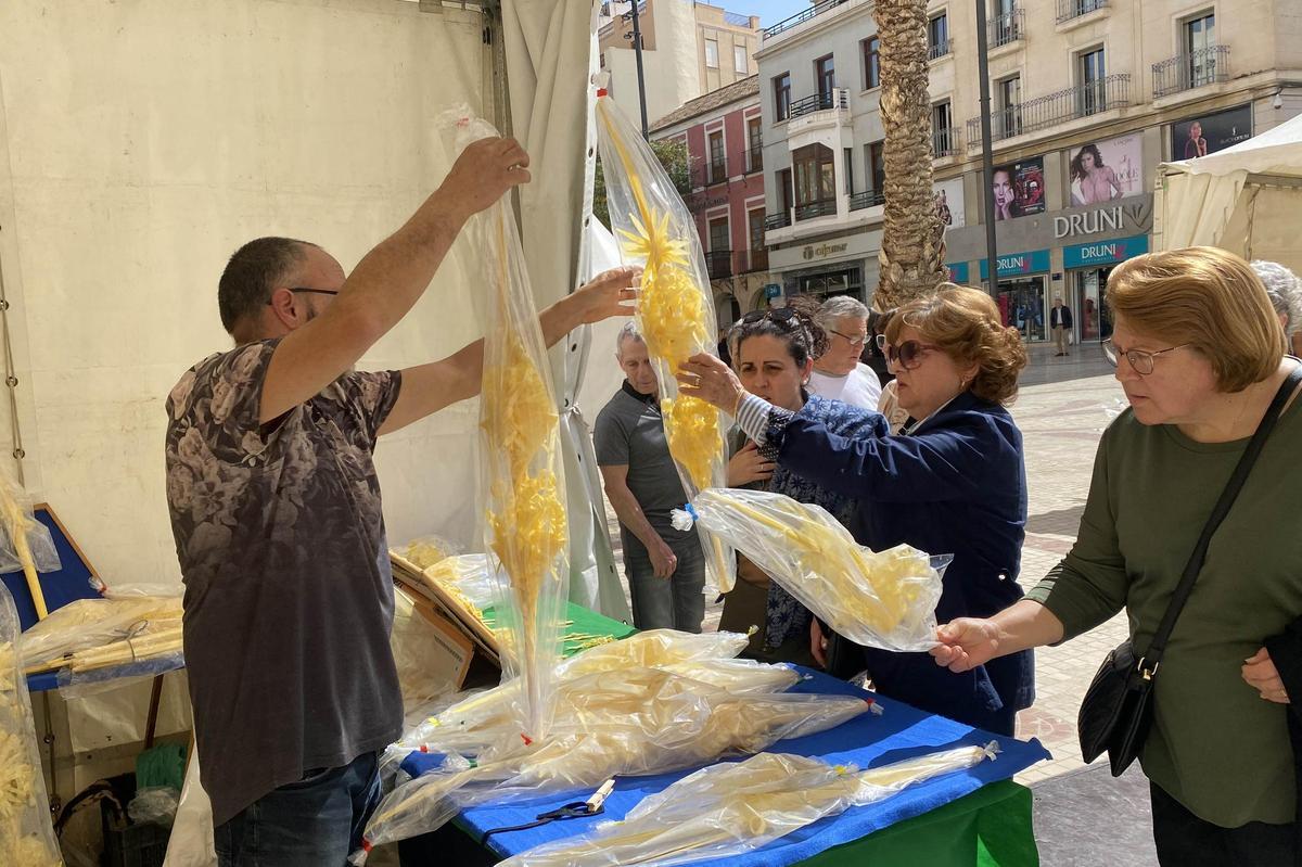 Ilicitanas eligiendo las palmas