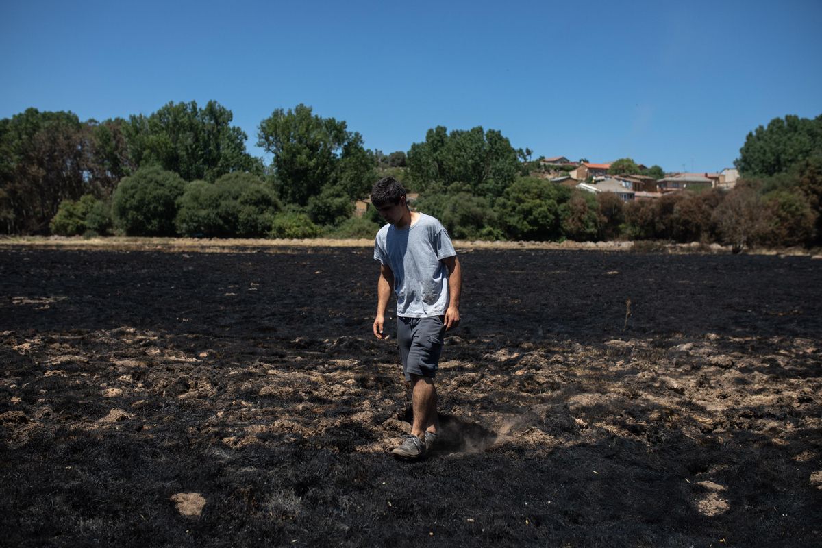 INCENDIO FORESTAL DE LOSACIO. IFLOSACIO. VECINOS QUE AYUDARON EN LA EXTINCION