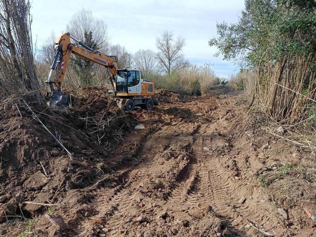 L'inici de les actuacions.