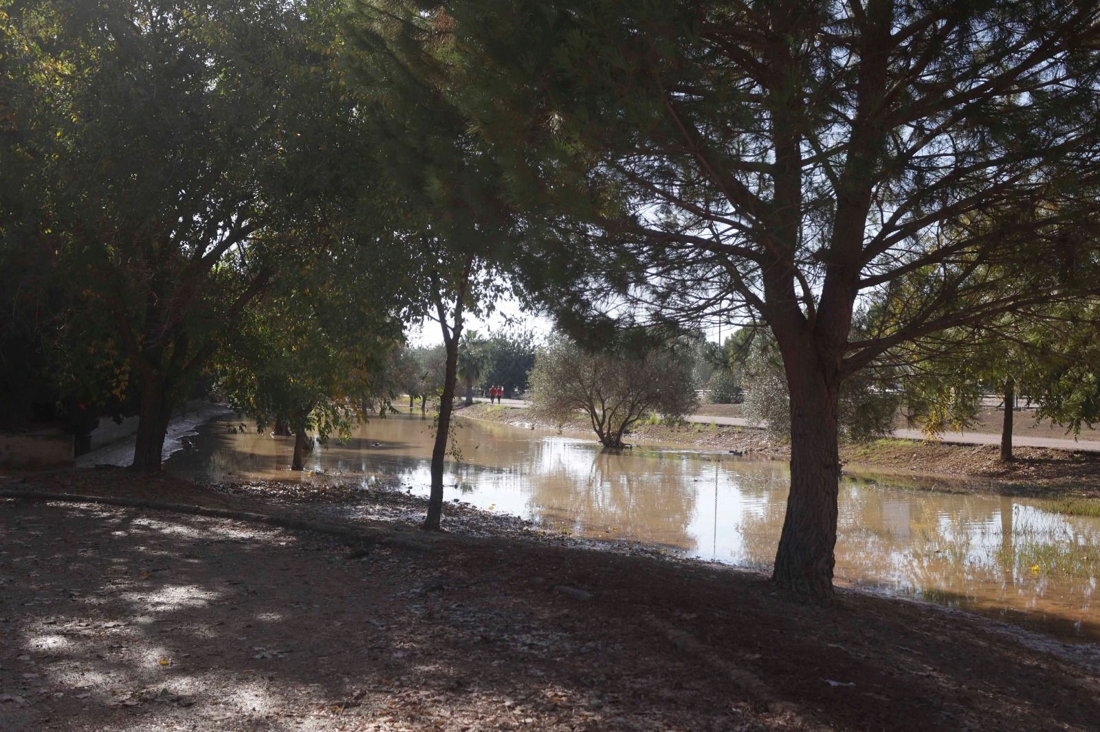 Parque de San Vicente, Lliria con colores otoñales.