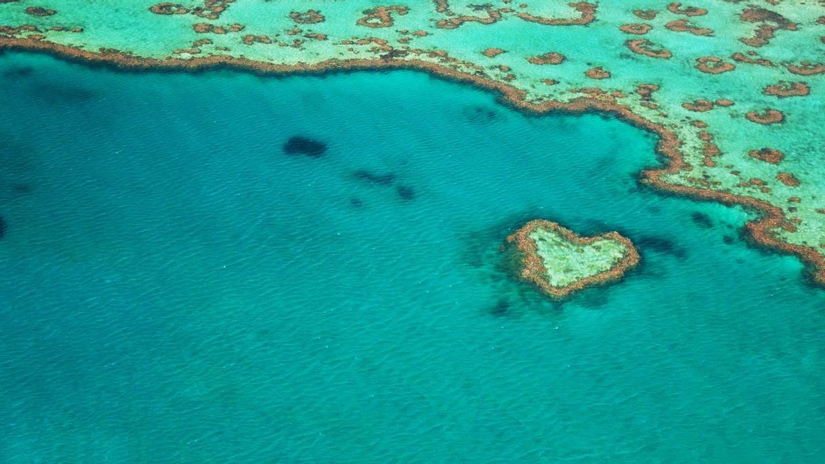 Arrecife Corazón