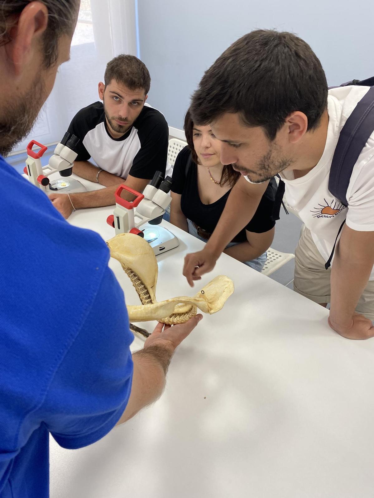 Alumnos en Acuario de Sevilla