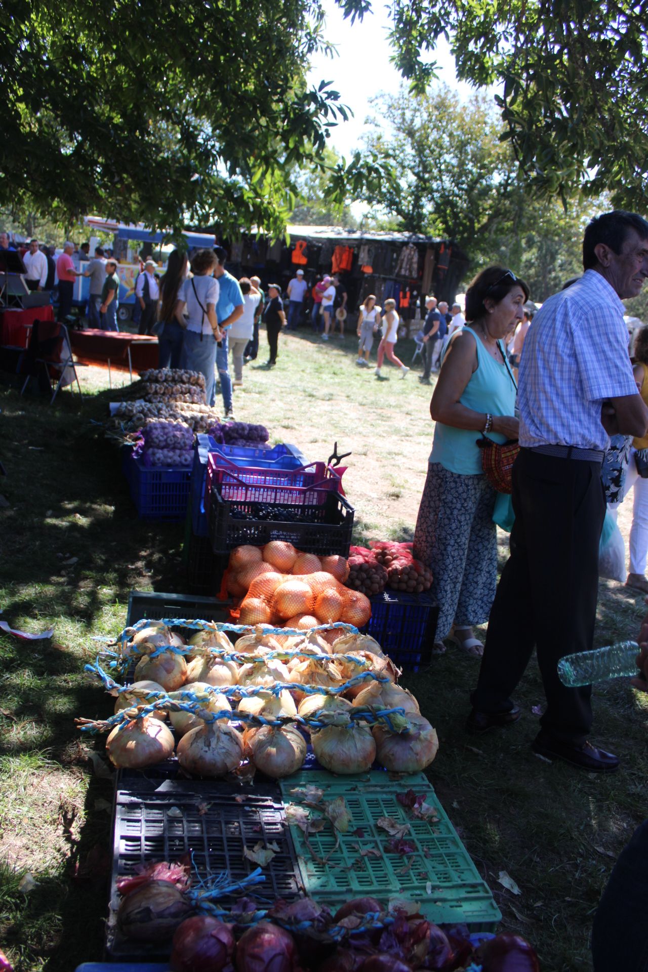 GALERÍA | Así ha vivido Sanabria el día de su patrona, la Virgen de los Remedios