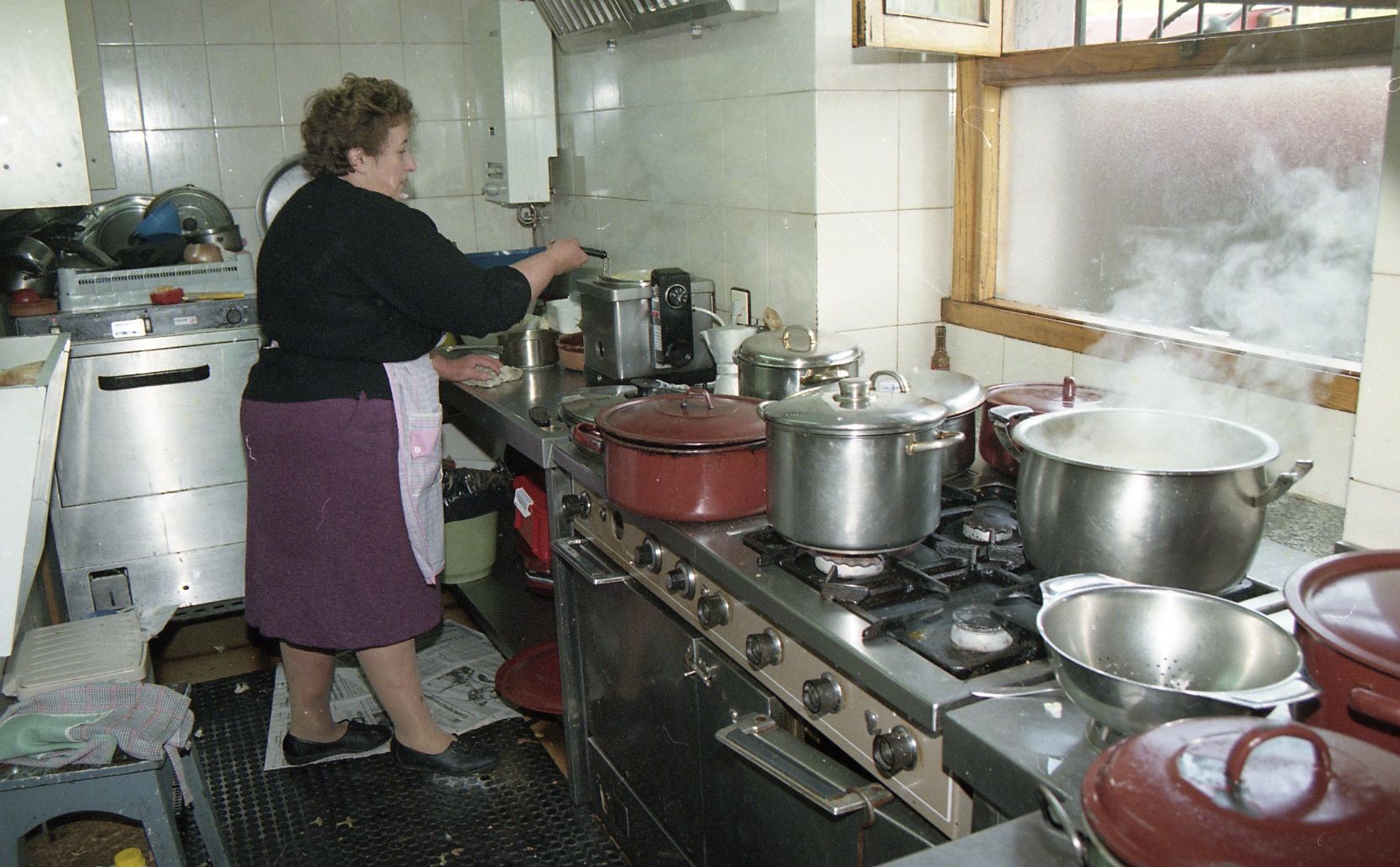 18. Cocinera de Salas. 1993.jpg