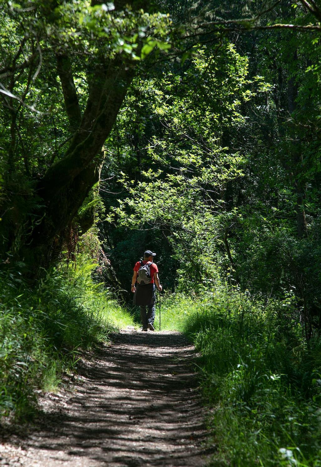 Camino Primitivo, Camino de Santiago