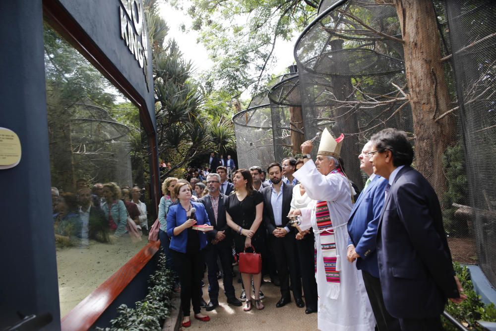 Delia Padrón Inauguración del Lion's Kingdom, la exhibición de los leones africanos, en Loro Parque