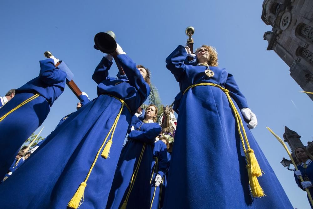 Procesión La Borriquilla en Oviedo