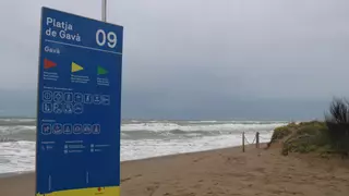 Parlon pide "cultura de la autoprotección" en las playas en un verano que ha arrancado con ocho ahogados
