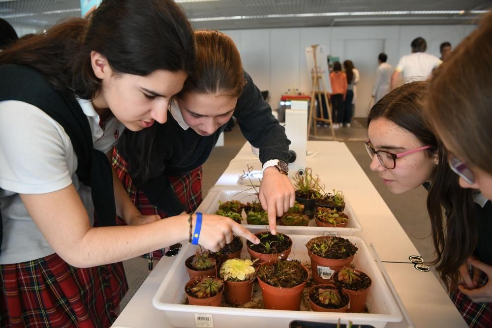 Acitividades científicas para escolares en la Fundación Barrié