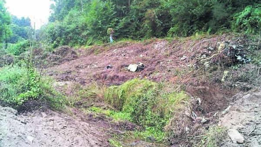 Los técnicos desbrozaron la zona para proceder a la retirada de los residuos. // G.N.