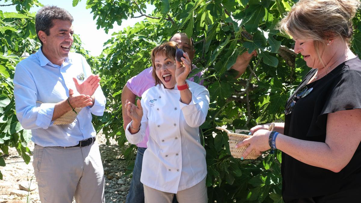 Albatera da inicio a la campaña de la breva con la cocinera María José San Román como madrina