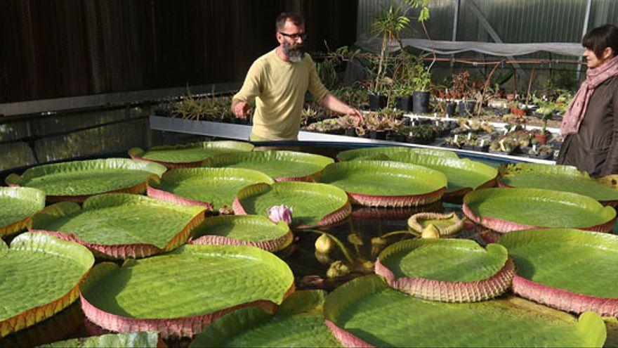 La Concepción, reconocida en los Premios Nacionales de Jardinería Pública por una investigación