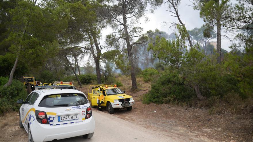 Controlado otro incendio forestal en un pinar en Marratxinet