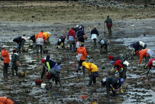 Mariscadoras en Arealonga