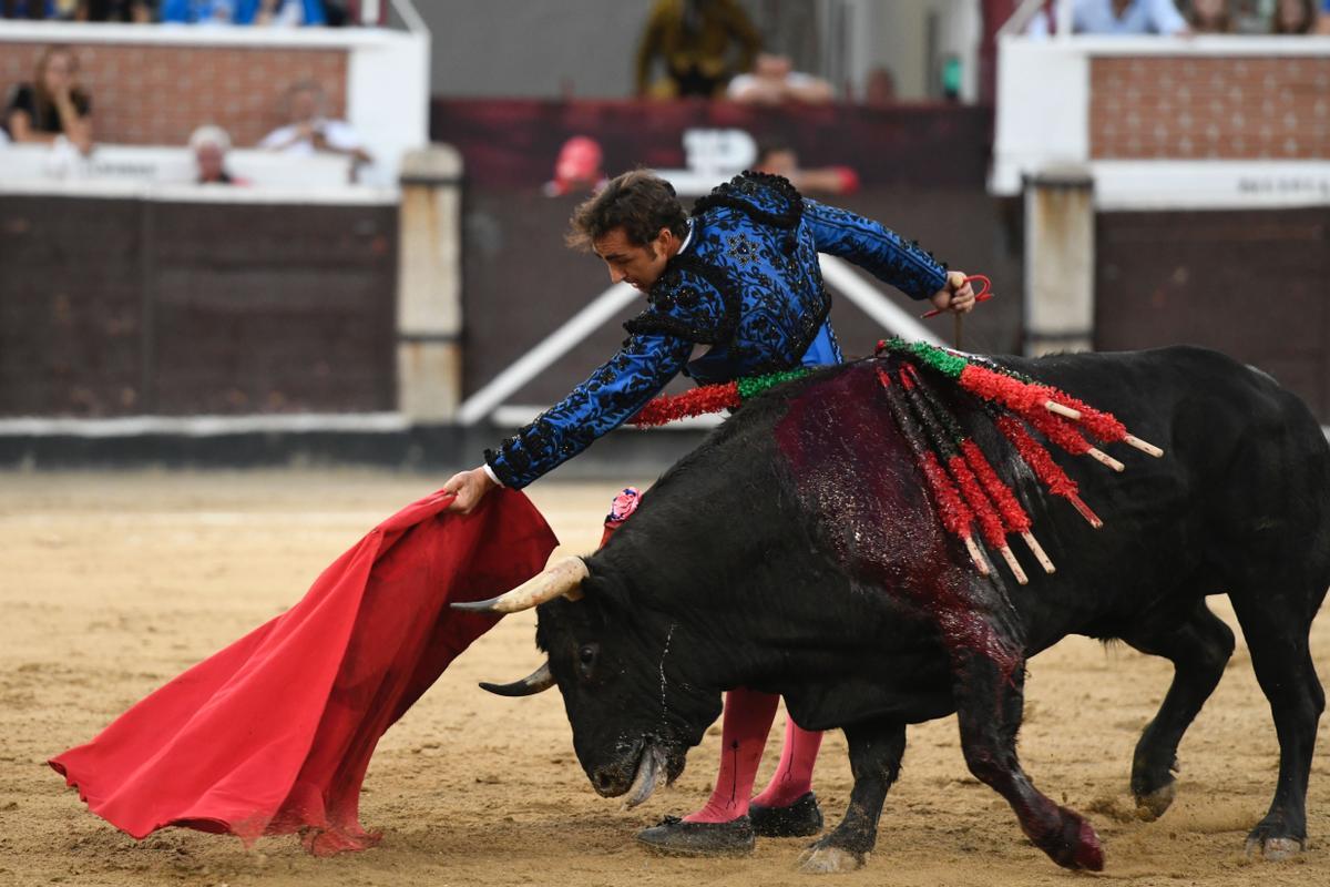 "Es inaceptable que en el siglo XXI la tauromaquia se mantenga como forma de entretenimiento" "Es inaceptable que en el siglo XXI la tauromaquia se mantenga como forma de entretenimiento"