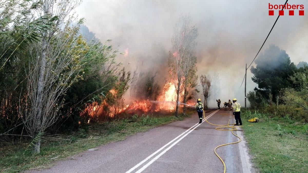 Els Bombers treballant al flanc dret de l'incendi a la zona del Ter Vell, a l'Estartit, el 7 de novembre del 2021 (Horitzontal).