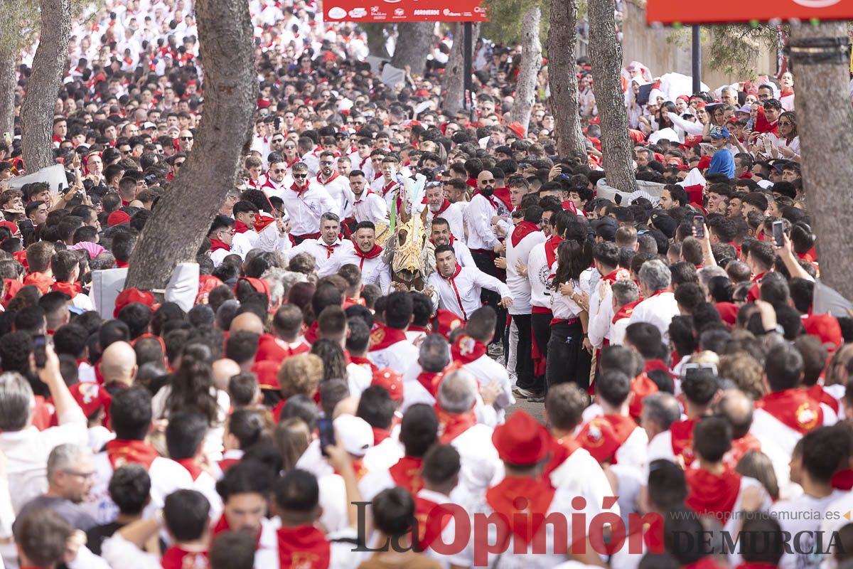 Así se ha vivido la carrera de Los Caballos del Vino en Caravaca