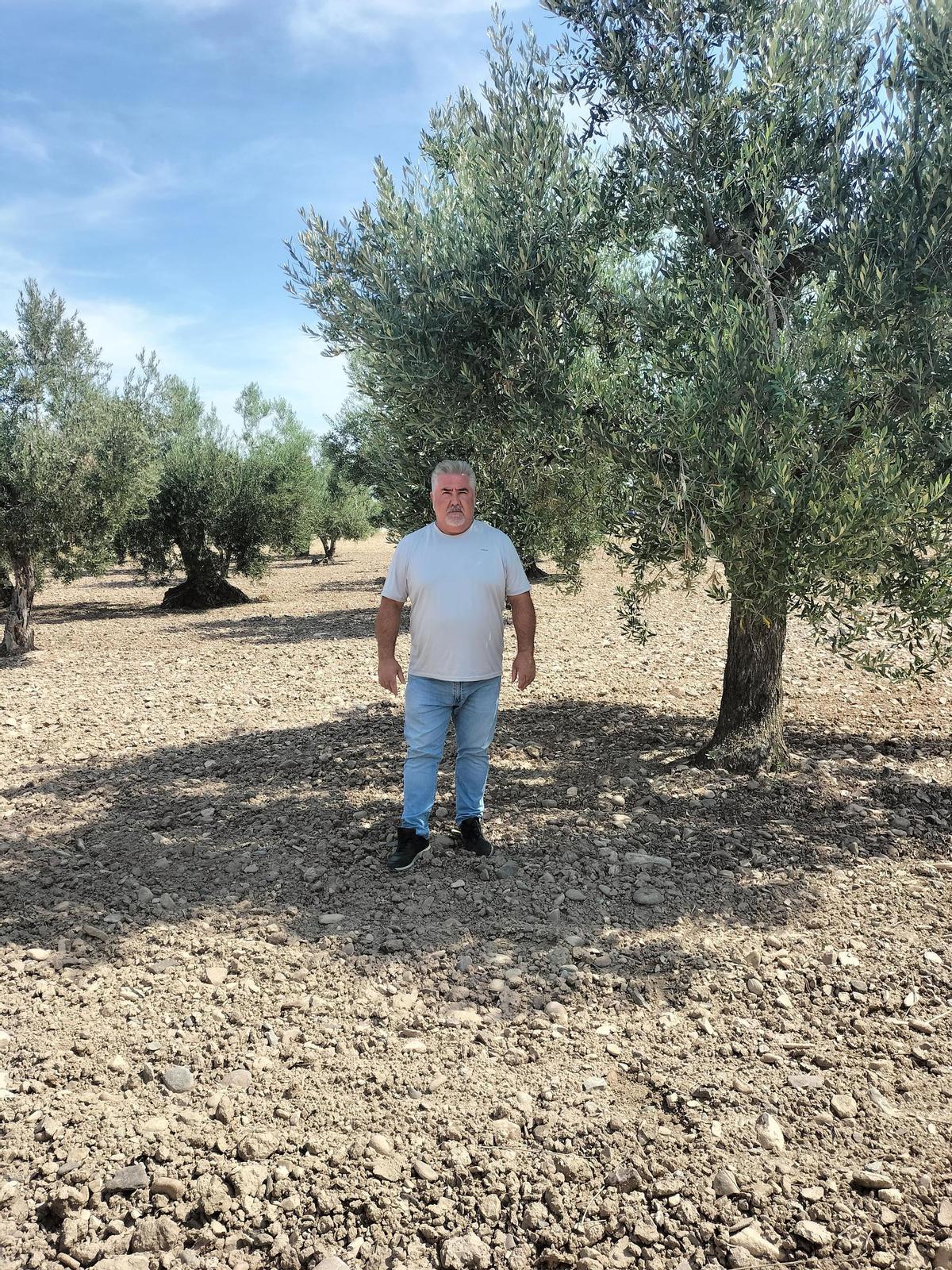 Miguel Ángel Lacámara, presidente de la Denominación de Origen Aceite Sierra del Moncayo.