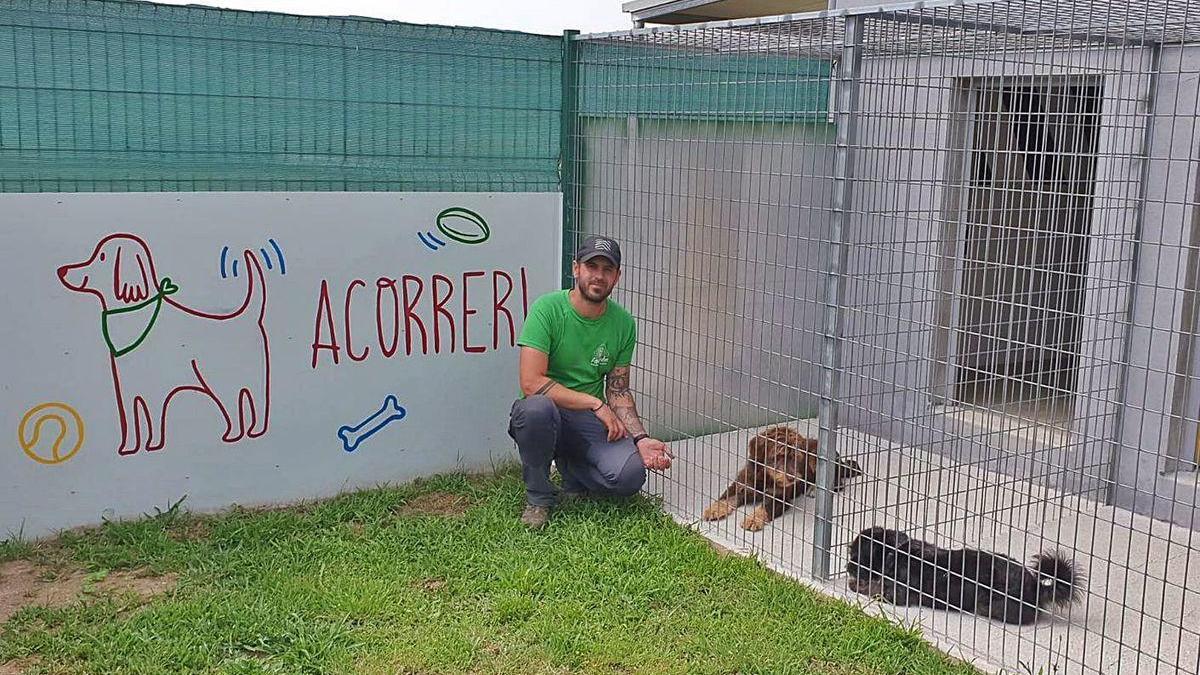 David López, ayer, en las instalaciones de la residencia canina Faitebo.