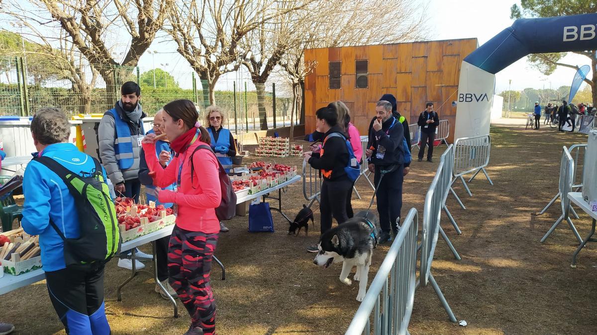 Arribada de participants de la Transéquia al Parc de l'Agulla