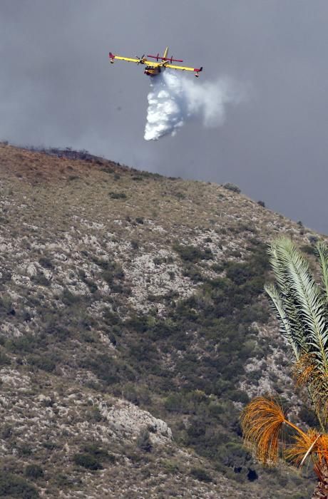 Incendio forestal en Carcaixent