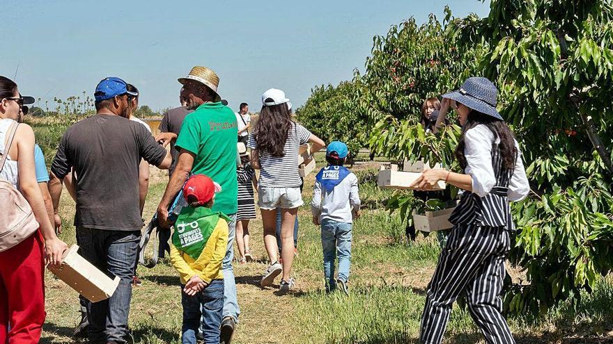 L&#039;esdeveniment obre les portes d&#039;explotacions agrícoles i ramaderes