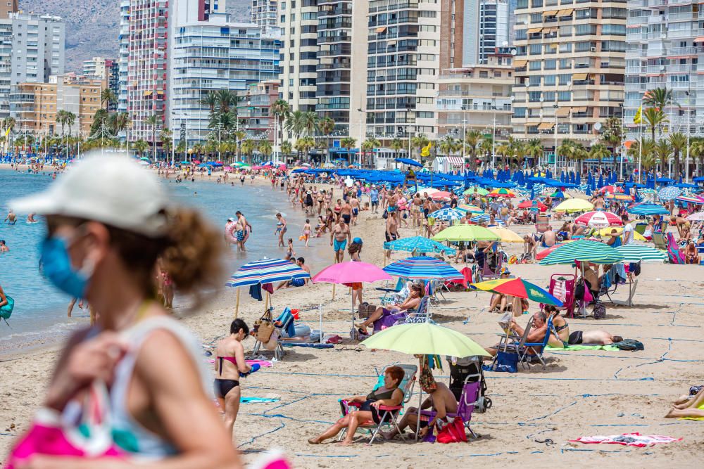 Este es el aspecto que presentan hoy las playas de Benidorm