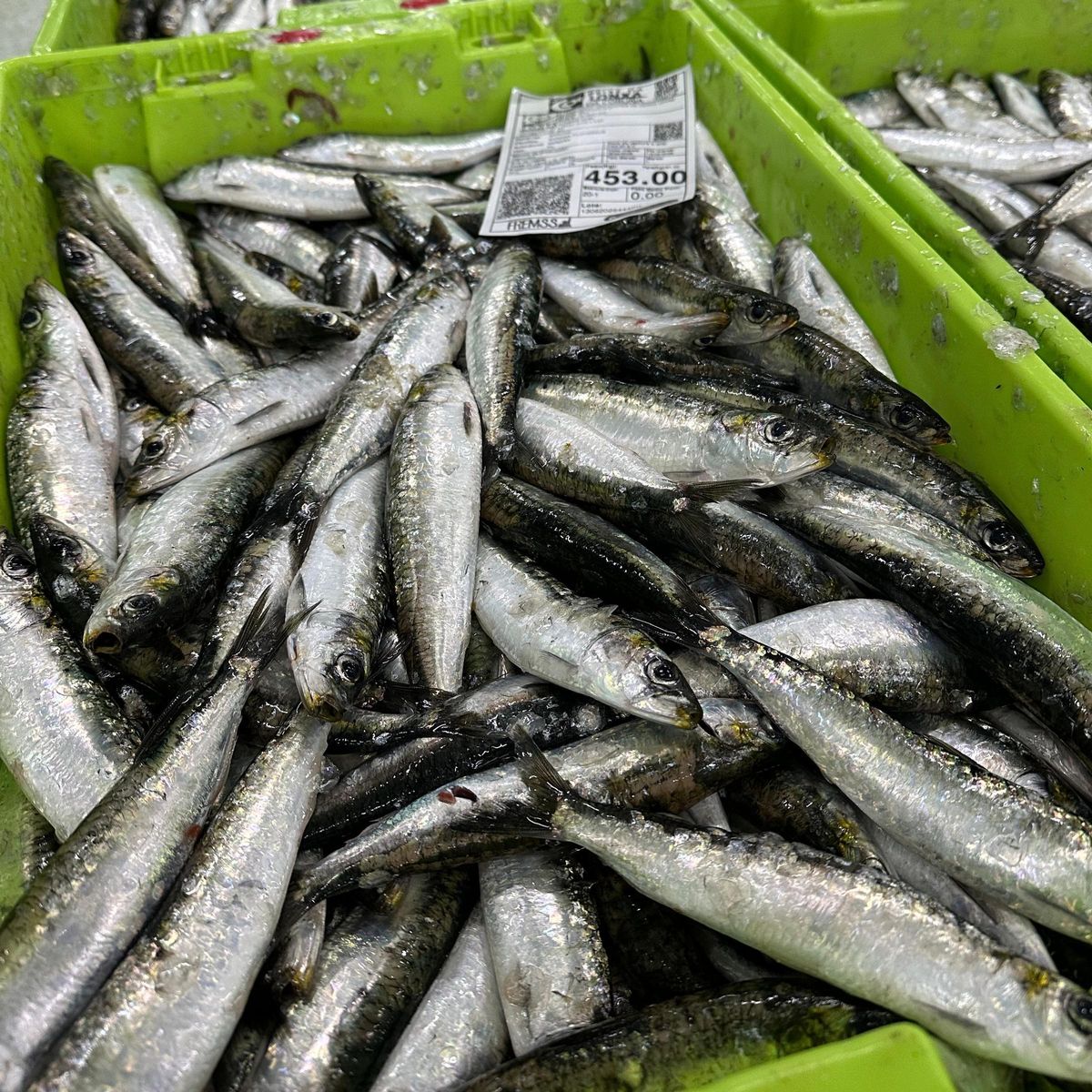 Sardinas de las que pasaron por el mercado coruñés