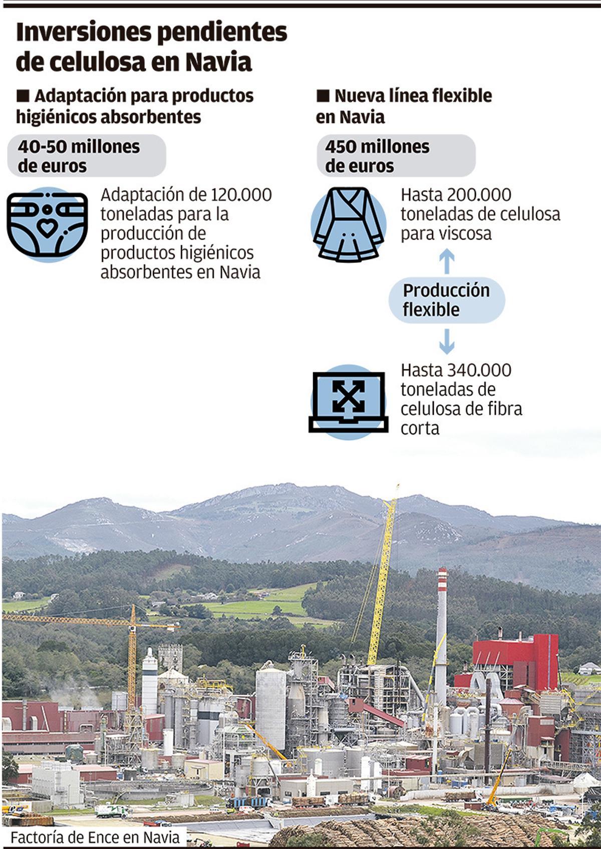 Ence revisará en julio el aplazamiento de la inversión en Navia y da ...