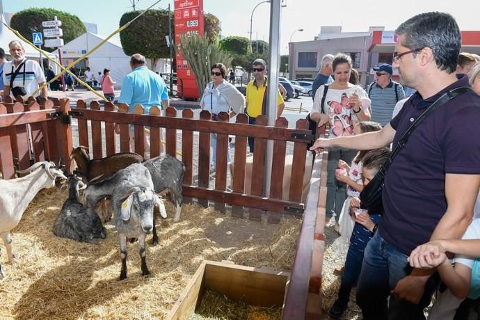 FERIA DEL SURESTE