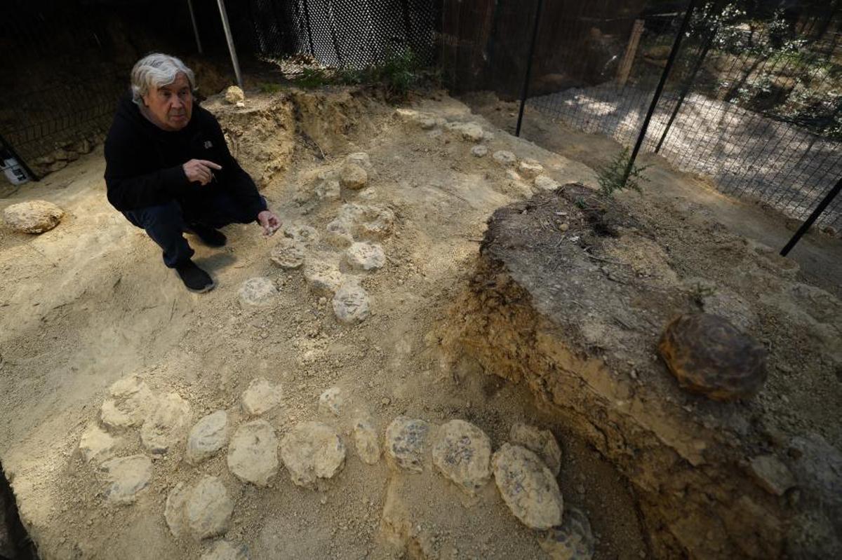 Alain Cabot encuentra en Francia, 100 huevos de dinosaurio de 72 millones de años de antigüedad