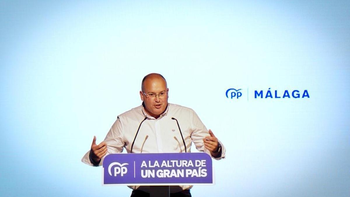 El vicesecretario de Organización del PP nacional, Miguel Tellado.