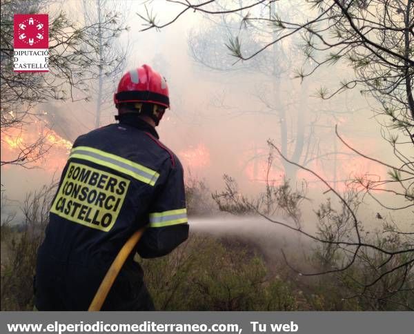 GALERÍA DE FOTOS -  Incendio en la Sierra Calderona
