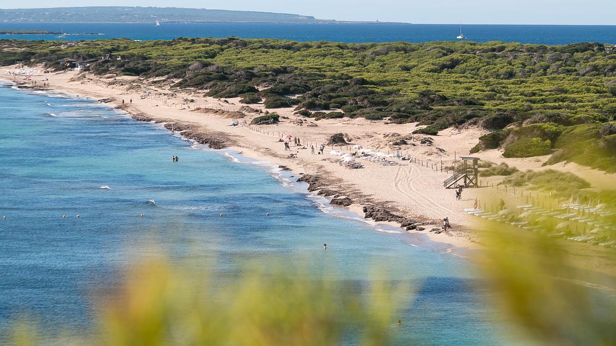 Es Cavallet, Sant Josep.