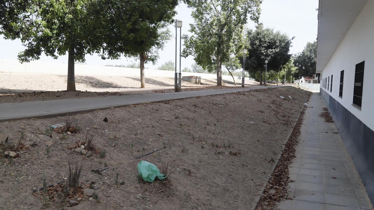 Espacio verde en Acera de San Julián.