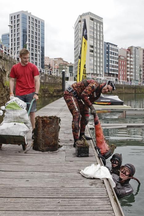 Labores de recogida de basura del fondo del muelle