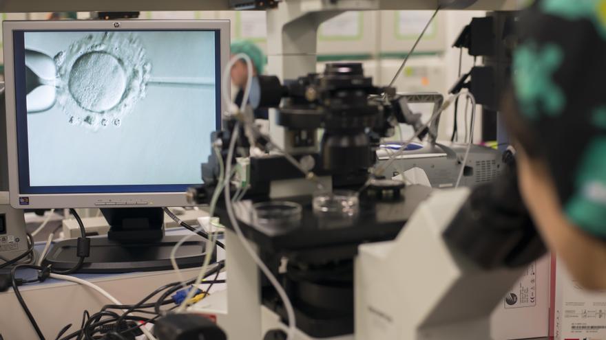 El IVI, premiado por la SRI por sus investigaciones sobre activación ovárica y desarrollo e implantación embrionarios