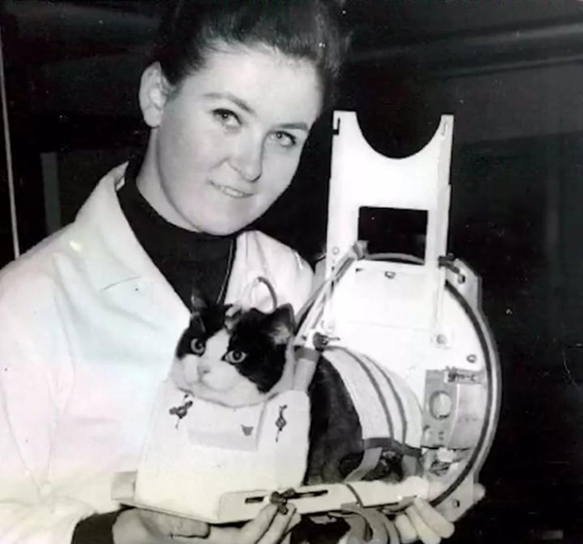 La gata-astronauta en manos de una de sus entrenadoras