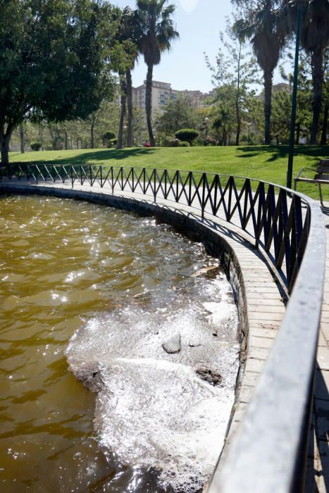 El PSOE critica que el fondo del lago grande del parque de Huelin lleva más de un año sin ser limpiado y el resto del parque está en mal estado.