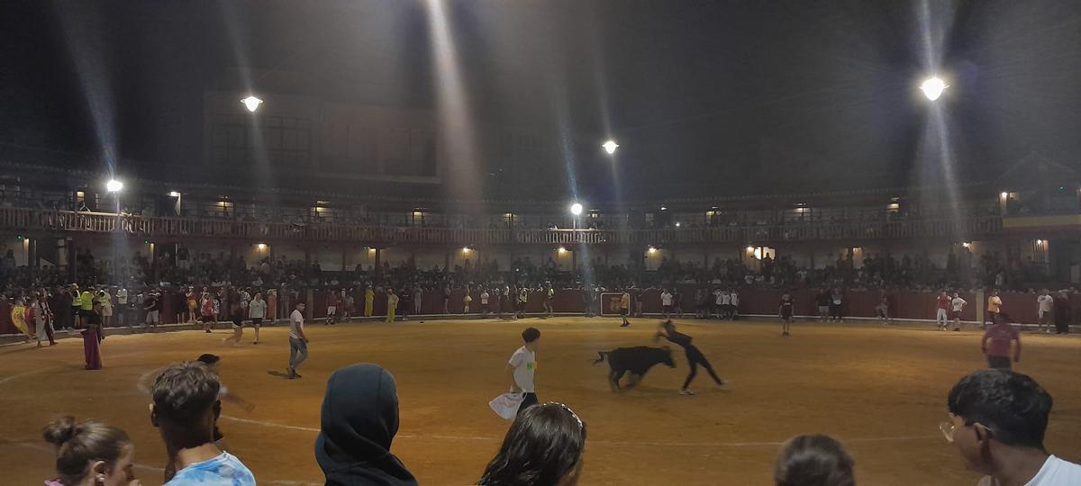 GALERÍA | La verbena taurina de las Fiestas de San Agustín de Toro, en imágenes GALERÍA | La verbena taurina de las Fiestas de San Agustín de Toro, en imágenes