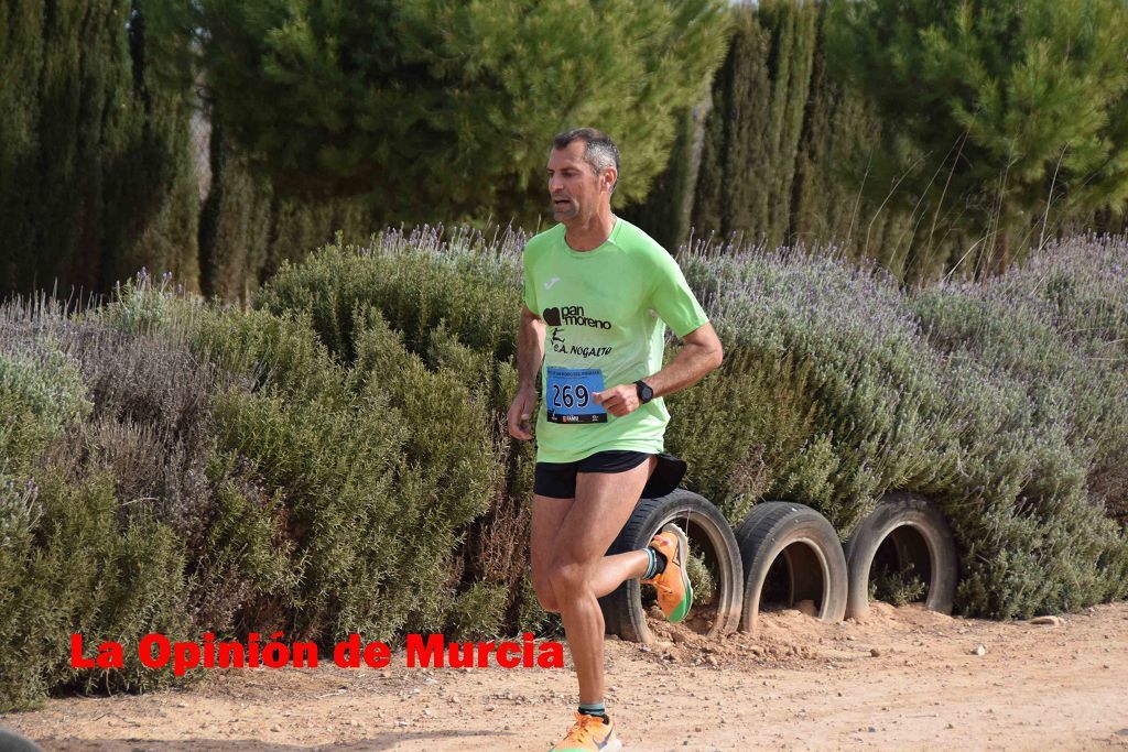 Cross de San Pedro del Pinatar (II)