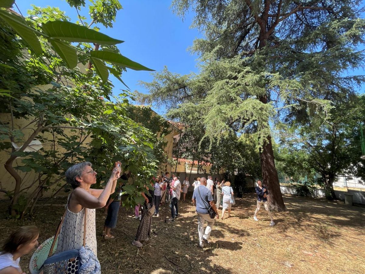 Visitantes en torno al cedro libanés del jardín.