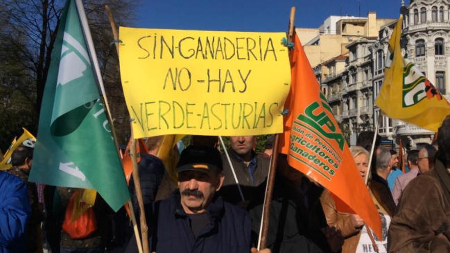 El campo asturiano lleva a Oviedo su situación límite: "No tenemos más horas en el día para seguir trabajando y no podemos pagar las facturas"