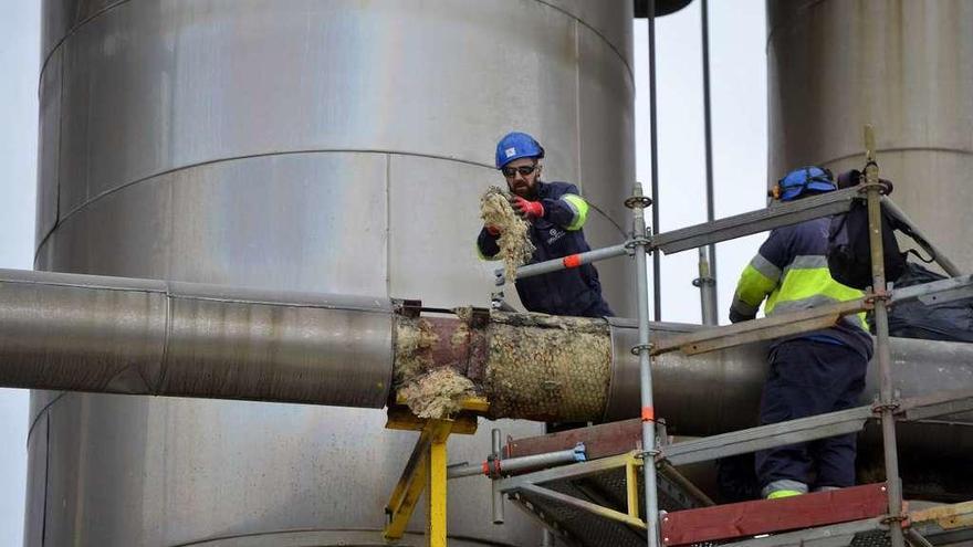 Unos operarios realizan trabajos de reparación en la fábrica de Ence. // Gustavo Santos